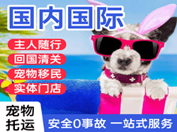 烟台航空货运国际宠物托运 【国